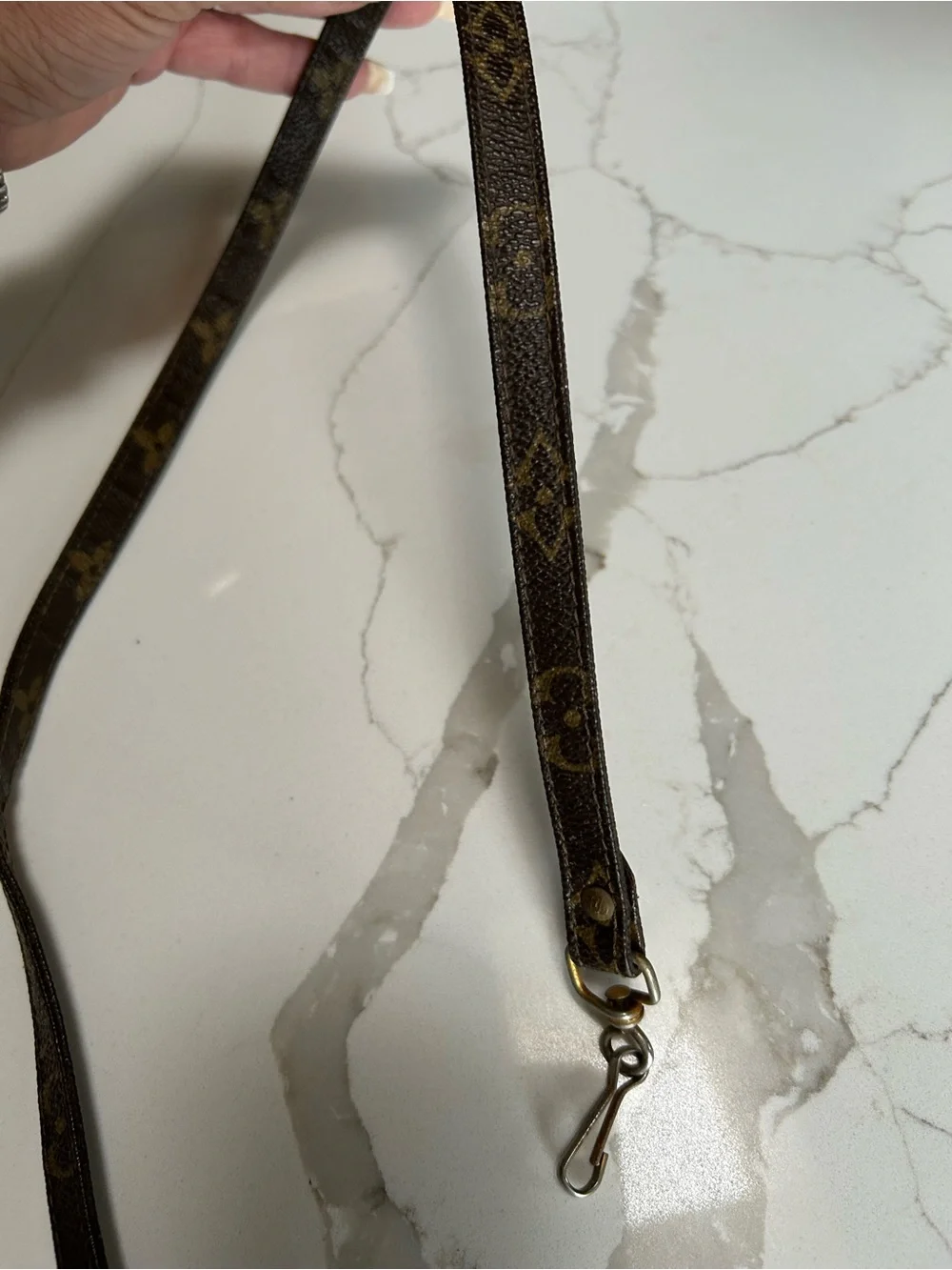 Louis Vuitton Monogram Strap